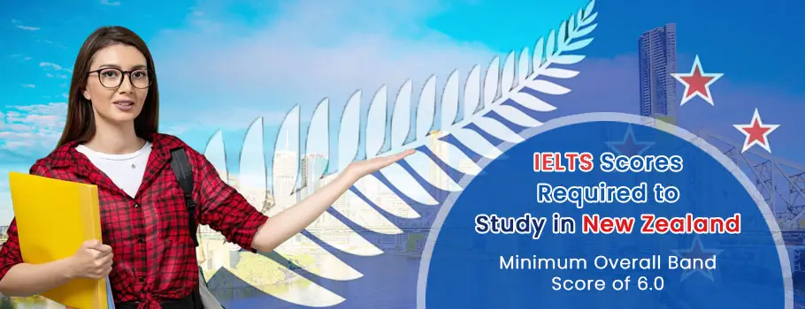 IELTS scores required to study in New Zealand